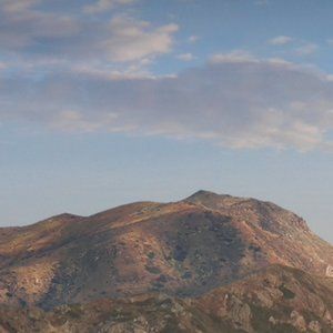 Meet your Posher, Serina